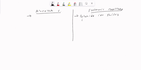 match-with-the-correct-term-match-the-correct-statements-that-best-describes-each-of-the-following-capillaries-alveolar-systemic-chloride-ion-shifts-into-the-rbc-carbon-dioxide-is-diffusing-62947