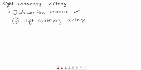 please-help-choose-the-correct-anawer-question-12-1pts-the-right-coronary-artery-gives-rise-to-o-circumflex-branch-oleft-coronary-artery-o-coronary-sinus-o-anterior-interventricular-branch-o-94395