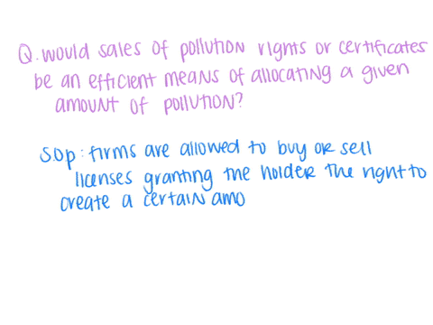 3-would-the-sales-of-pollution-rights-or-certificates-be-an-efficient-means-of-allocating-a-given-amount-of-pollution-explain-14396