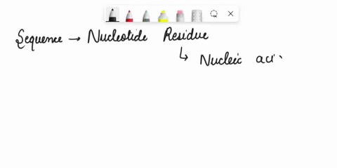 3_-by-convention-the-sequence-of-nucleotide-residues-in-a-nucleic-acid-is-written-starting-with-the-end-right-to-left-3-b-left-to-right-3-top-to-bottom-3-d_-top-to-bottom-5-left-to-right-5-56475