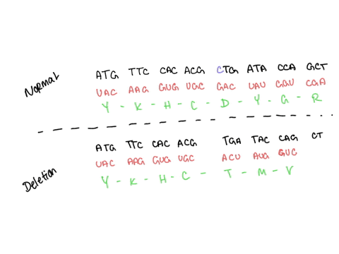 consider-the-coding-sequence-below-what-would-be-the-corresponding-mrna-sequence-using-the-genetic-code-table-determine-the-corresponding-amino-acid-sequence-if-the-red-c-was-deleted-what-ki-48255