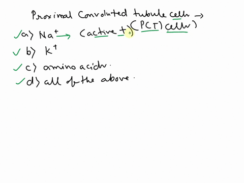 select-the-best-answer-or-answers-from-the-choices-given-which-is-reabsorbed-by-the-proximal-convoluted-tubule-cells-a-na-b-k-c-amino-acids-d-all-of-the-above-27376