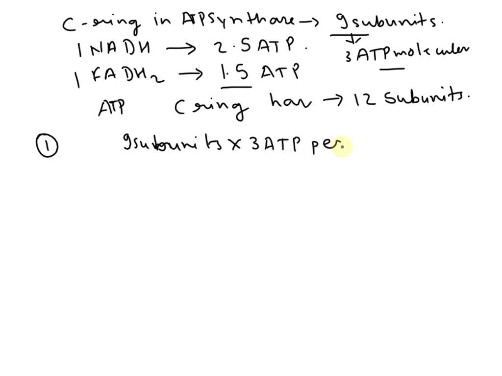 SOLVED: Explain these conversion factors assuming the C ring in ATP synthase  has 9 subunits. 1 NADH producing 2.5 ATP 1 FADH2 molecule produces 1.5 ATP  and what would ATP yield if