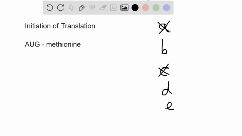 during-the-initiation-of-translation-the-first-codon-________-enters-the-________-and-associates-wit-29596