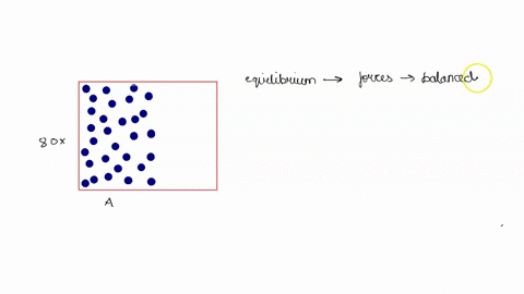 in-the-system-shown-below-there-are-80-x-particles-all-in-region-a-the-left-half-of-the-box-no-extra-particles-can-enter-the-system-when-the-system-is-in-equilibrium-what-will-be-true-of-the-84534