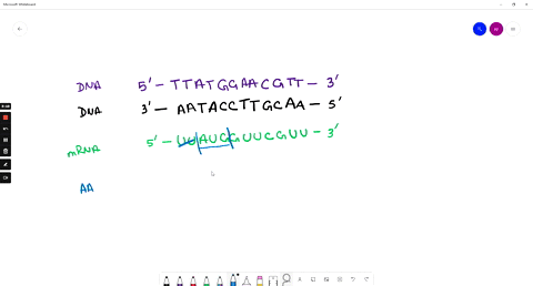 transcriptiontranslation-homework-the-order-of-bases-on-the-template-strand-of-dna-a-gene-is-3-aataccttgcaa-5-this-segment-of-dna-is-from-the-beginning-of-a-gene-5-pts-what-is-the-sequence-o-52722