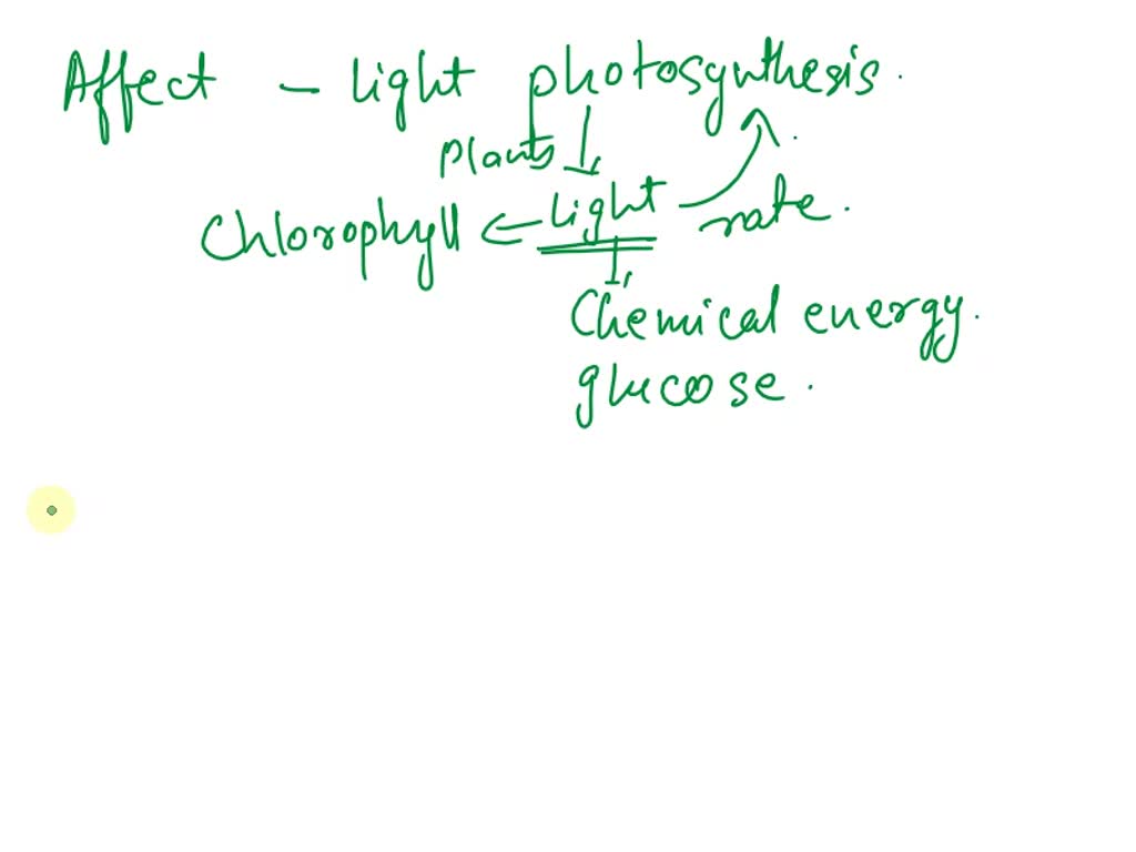 SOLVED does light intensity affect the rate of photosynthesis in plants?