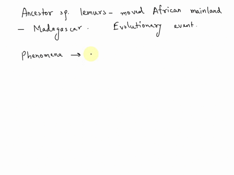 africa-madagascar-lorises-bushbables-lemurs-w-254-mya-255-mya-262-mya-this-picture-shows-that-the-ancestor-of-modern-lemurs-left-the-african-mainland-and-made-it-to-the-island-of-madagascar-75339