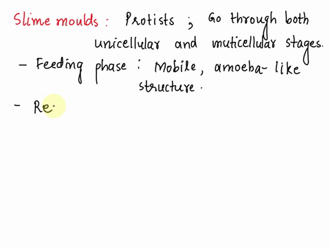 how-are-slime-molds-similar-to-kelp-59361