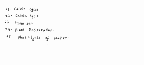 identify-each-of-the-following-as-light-reactions-or-the-calvin-cycle-21-glucose-is-produced-from-the-joining-of-hand-co2-_______________________-22-this-process-occurs-in-the-stroma-_______-42603