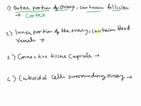 match-the-microscopic-structure-of-the-ovary-with-its-description-outer-portion-of-ovarycontains-follicles-cortex-inner-portion-of-ovarycontains-blood-vessels-medulla-connective-tissue-capsu-72955