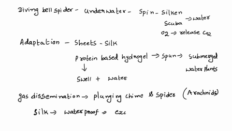 the-diving-bell-spider-argroneta-aquatica-stores-air-underwater-in-a-net-of-silk-explain-why-this-ad-43131