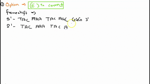 given-the-dna-coding-sequence-5-tac-aaaata-cag-cgg3_-which-of-these-sequences-represents-a-frameshift-mutation-assume-that-the-start-codon-is-localized-upstream-of-this-sequence_-a-5-tag-aaa-13308