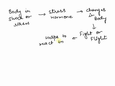 fight-or-flight-responses-entail-activity-of-the-_____-division-of-the-autonomous-nervous-system-89615