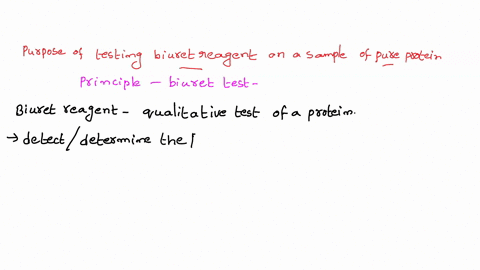 what-was-the-purpose-of-testing-the-biuret-reagent-on-a-sample-of-pure-protein-select-one-a-the-purpose-was-negative-control-to-determine-that-there-was-no-protein-present-b-it-was-done-to-m-99505