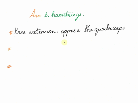 the-quadriceps-are-the-prime-movers-of-knee-extension-which-muscle-group-is-an-antagonist-to-knee-extension-a-soleus-b-hamstrings-c-gluteus-maximus-d-tibialis-anterior-79752
