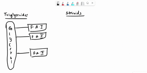 describe-how-the-structures-of-triglyceride-molecules-are-different-from-the-structures-of-steroid-molecules-describe-one-of-the-functions-of-steroid-molecules-03254