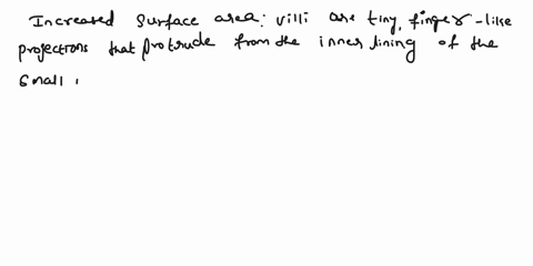 2-villi-present-in-the-small-intestine-helps-in-the-process-of-absorptiongive-reason-44523