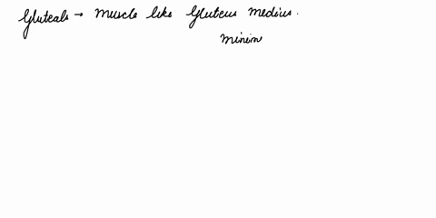below-is-a-picture-of-the-gluteus-medius-and-minimus-from-now-on-referred-to-as-the-gluteals-on-the-left-and-the-adductor-magnus-on-the-right-these-muscles-are-considered-antagonists-because-78864