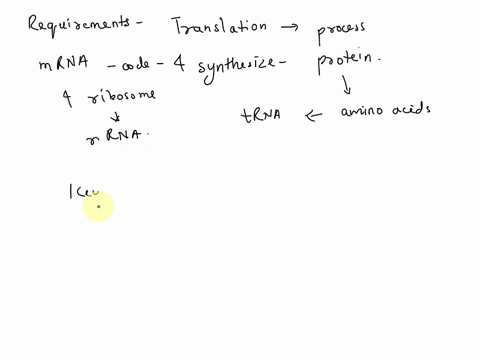 translation-requires-mrna-dna-andrrna-mrna-trna-dna-andrrna-mrna-trna-andrrna-mrna-trna-and-dna-questlon-19-accuracy-in-the-translatlonof-mrna-into-the-primary-structure-of-polypeptide-depen-72921
