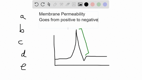 1-membrane-permeability-at-the-falling-phase-of-an-action-potential-is-dominated-by-a-co-transporters-b-nongated-channels-c-kkx-voltage-gated-channels-d-nanax-voltage-gated-channels-e-chemic-42845