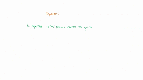 spores-are-structures-produced-by-some-plants-and-all-fungi-which-is-true-about-them-a-spores-are-ha-20862