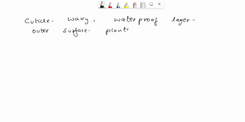 discussion-question-related-to-part-iv-a-whal-is-the-purpose-of-the-cuticle-b-in-what-cells-are-the-chbroplasts-found-what-is-the-puppose-of-the-guard-cells-and-the-stomata-d-in-which-cells-14218