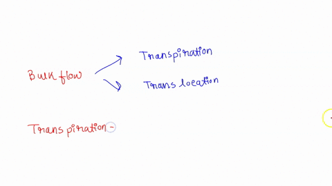 the-process-of-bulk-flow-transports-fluids-in-a-plant-describe-the-two-main-bulk-flow-processes-10945