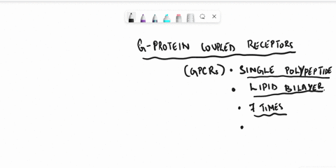 a-explain-the-structure-of-g-protein-coupled-receptors-b-what-are-the-general-steps-involved-in-transmission-at-these-receptors-c-describe-the-g-protein-coupled-effector-systemspathways-37822