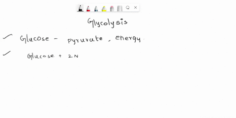 the-process-of-glycolysis-is-the-breakdown-of-what-molecule-in-the-body-a-protein-b-triglycerides-c-glucose-d-fatty-acids-27813