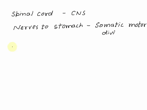 activity-1-identifying-the-organization-of-the-nervous-system-consult-figure-101and-match-the-following-items-to-their-places-in-the-nervous-system-spinal-cord-sensory-division-nerves-to-the-86837