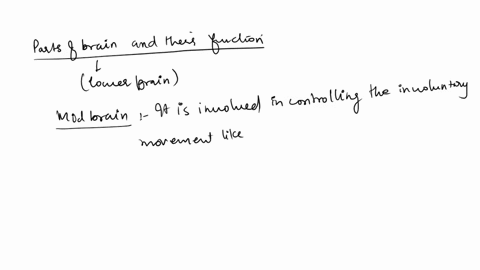 what-three-structures-are-part-of-the-lower-brain-stem-give-the-function-of-each_-98578