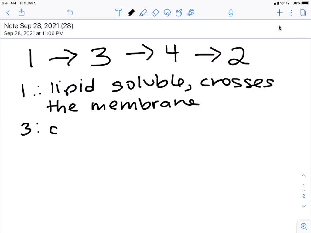 solved-rank-the-following-molecules-in-terms-of-their-ability-to-move