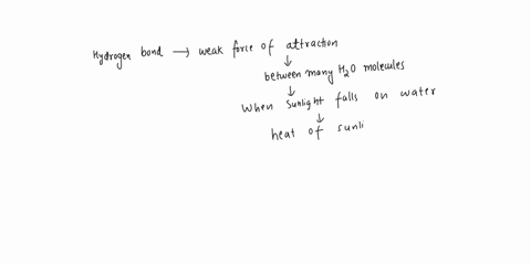 explain-in-terms-of-hydrogen-bonding-the-reason-the-water-is-cool-at-the-beach-but-the-sand-is-hot-explain-the-property-of-water-which-allows-for-this-characteristic-58308