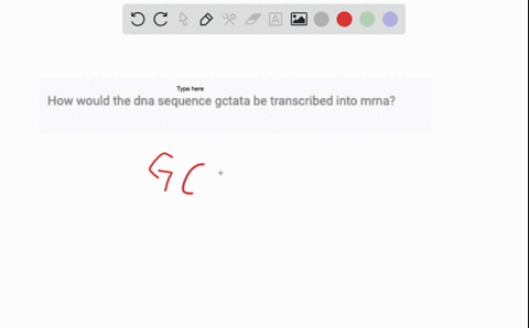 how-would-the-dna-sequence-gctata-be-transcribed-into-mrna-09411