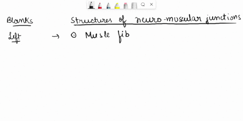 part-c-compon-nts-of-the-neuromuscular-junction-part-d-labeling-the-structures-at-the-neuromuscular-junction-drag-and-drop-each-of-the-following-terms-to-the-approprlate-slot-reseth-ul-part-80239