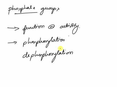 phosphate-groups-are-key-to-switching-pathways-and-enzymes-on-and-off-what-are-some-examples-and-why-are-phosphate-groups-good-at-effecting-these-changes-87792