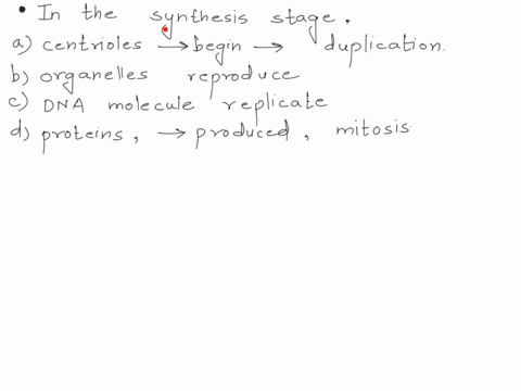 question-9-1-point-in-the-synthesis-stage-centrioles-begin-the-process-of-duplication-organelles-reproduce-dna-molecules-replicate-proteins-including-enzymes-are-produced-which-will-particip-48862