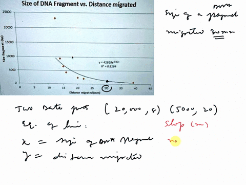 question-11-2-points-size-of-dna-fragment-vs-distance-migrated-25050-20000-8-15080-1-j0cdo-42929e-0-12-r20-8264-5000-distancc-migratcd-mm-according-to-the-graph-how-large-is-a-pcr-fragment-t-22309
