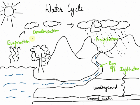 thats-the-names-for-the-diagram-ity-0-help-lastedit-was_shours-2g0-ind-layout-theme-transition-ine-water-ycie-abel-the-water-cycle-diagram-with-the-vocabulary-terms-below-then-explain-thelwa-76168