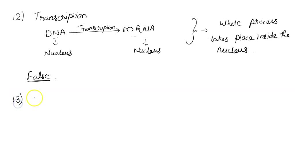 SOLVED: QUESTION 10 In the example illustrated by Dr. Griffith ...