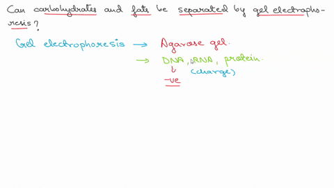 can-gel-electrophoresis-be-used-to-separate-carbohydrates-or-fats-using-an-agarose-gel-24698