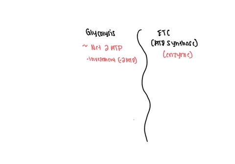 what-is-the-difference-between-atp-generation-in-glycolysis-versus-atp-generation-by-atp-synthase-a-atp-synthase-is-an-enzyme-whereas-during-glycolysis-no-enzyme-is-used-to-generate-atp-b-du-25552
