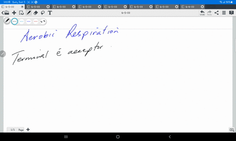 what-is-the-terminal-electron-acceptor-in-aerobic-respiration-29777
