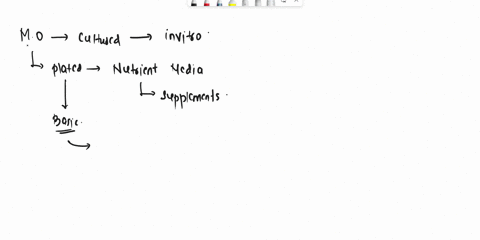 during-the-process-the-microbial-sample-is-usually-spread-in-a-specific-pattern-on-the-growth-medium-74055