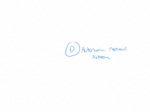 8-which-of-the-following-is-responsible-for-transmitting-sensory-information-from-the-body-to-the-cns-a-motor-neurons-b-interneurons-c-efferent-neurons-d-afferent-neurons-e-none-of-the-above-9-which-d