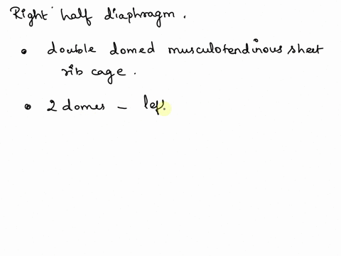 what-organ-lives-inferior-to-the-right-half-of-the-diaphragm-80023