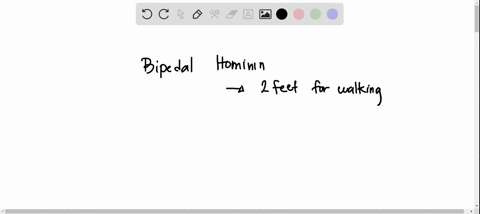 each-of-the-following-traits-is-found-in-a-bipedal-hominin-except-group-of-answer-choices-a-c-shaped-spine-a-bowl-shaped-pelvis-a-femur-that-angles-inwards-at-the-knee-a-non-divergent-hallux-13017