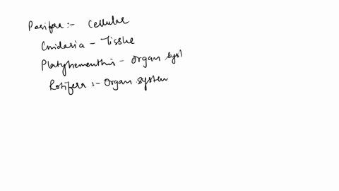 what-level-of-organization-do-porifera-cnidaria-platyhelminthes-and-rotifera-have-what-type-of-symmetry-do-porifera-cnidaria-platyhelminthes-and-rotifera-have-how-does-the-level-of-organizat-40313