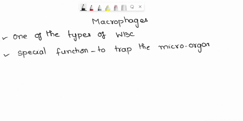 which-of-the-following-are-true-of-macrophages-multiple-choice-they-are-responsible-for-cellular-immunity-they-remove-old-blood-cells-they-trap-and-digest-cellular-debris-they-produce-antige-66753